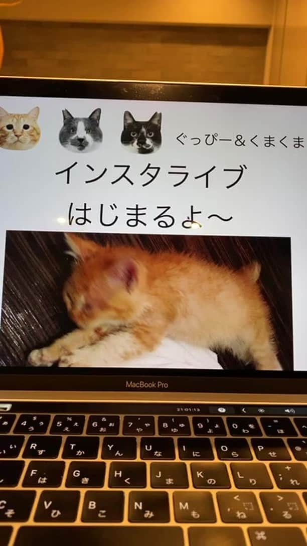 のインスタグラム：「ゆるーくだらだら。」