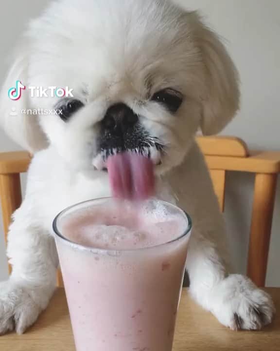 こなつのインスタグラム：「Yummy💓💓💓」