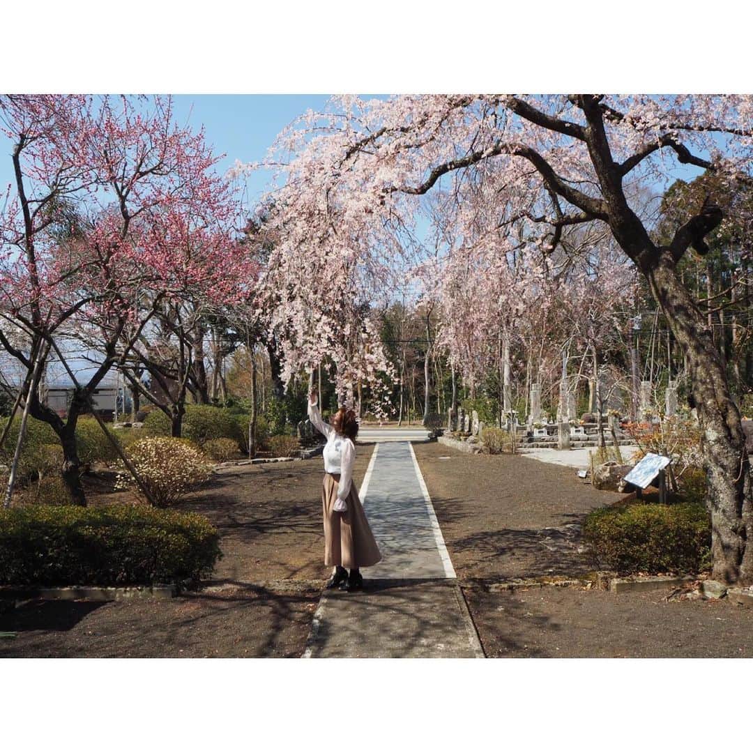 鈴木優梨のインスタグラム：「🌸✨ もう散ってしまったけど静岡の東山観音堂にて🧚‍♀️✨ ・ ここで桜を見ていたら地元の方に とらや工房というカフェを紹介してもらった🥰 ・ 素敵な場所は、素敵な出会いも運んできてくれる🧚‍♀️ #東山観音堂 #静岡 #とらや工房 #桜 #sakura #お花見 #春」