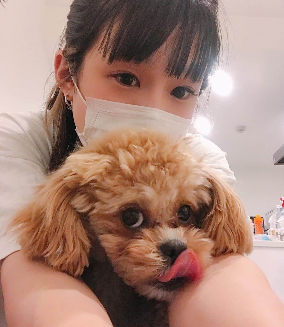 Manitasのインスタグラム：「毎日ずっと一緒〜👩🏻🐶🌼 家族とゆうか相棒とゆうか。 コマちゃんしゃべれたらめっちゃおもろいのになぁ〜〜ってずっと思ってる。 今日もお利口さんでした♡ #おうち時間 #stayhome #今日のまにとコマニ #帰宅イヤイヤ期ですが今日もお利口でした #いつかしゃべれるようにならないかなぁ #たぶんこの子めっちゃおもろいと思う #何言ってるんだかわからなそうでおもろいと思う #願えば叶うから願おう #いつかコマニがしゃべれるようになりますように #この顔最高だね #今日もありがとう #おうちなので髪の毛ぼさぼさでーす」