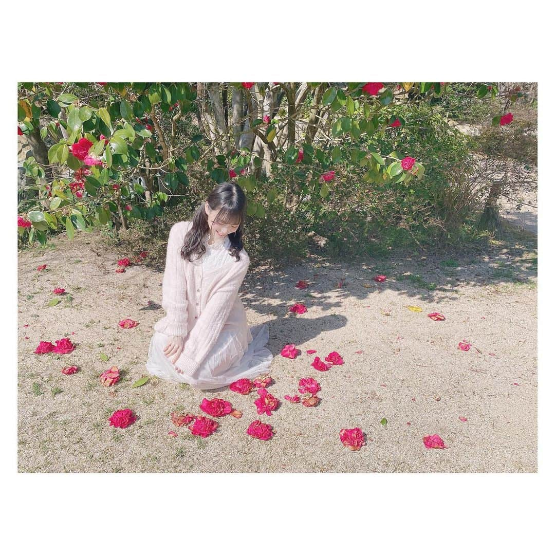 岩田陽菜さんのインスタグラム写真 - (岩田陽菜Instagram)「落ちても花は花なのでとても綺麗なんです！﻿ ﻿ ﻿ #椿﻿ #広島エアポートホテル#広島庭園#日本庭園#庭園#三景園##フォレストヒルズガーデン#広島#広島観光#foresthillsgarden#広島空港#コテージ#和食#春#spring#outer#niceclaup#ワンピース#marieebouquetde#ヘアアレンジ#巻き髪#ツインテール#イヤリング#白ワンピ」4月26日 23時06分 - hina_naso_stu48