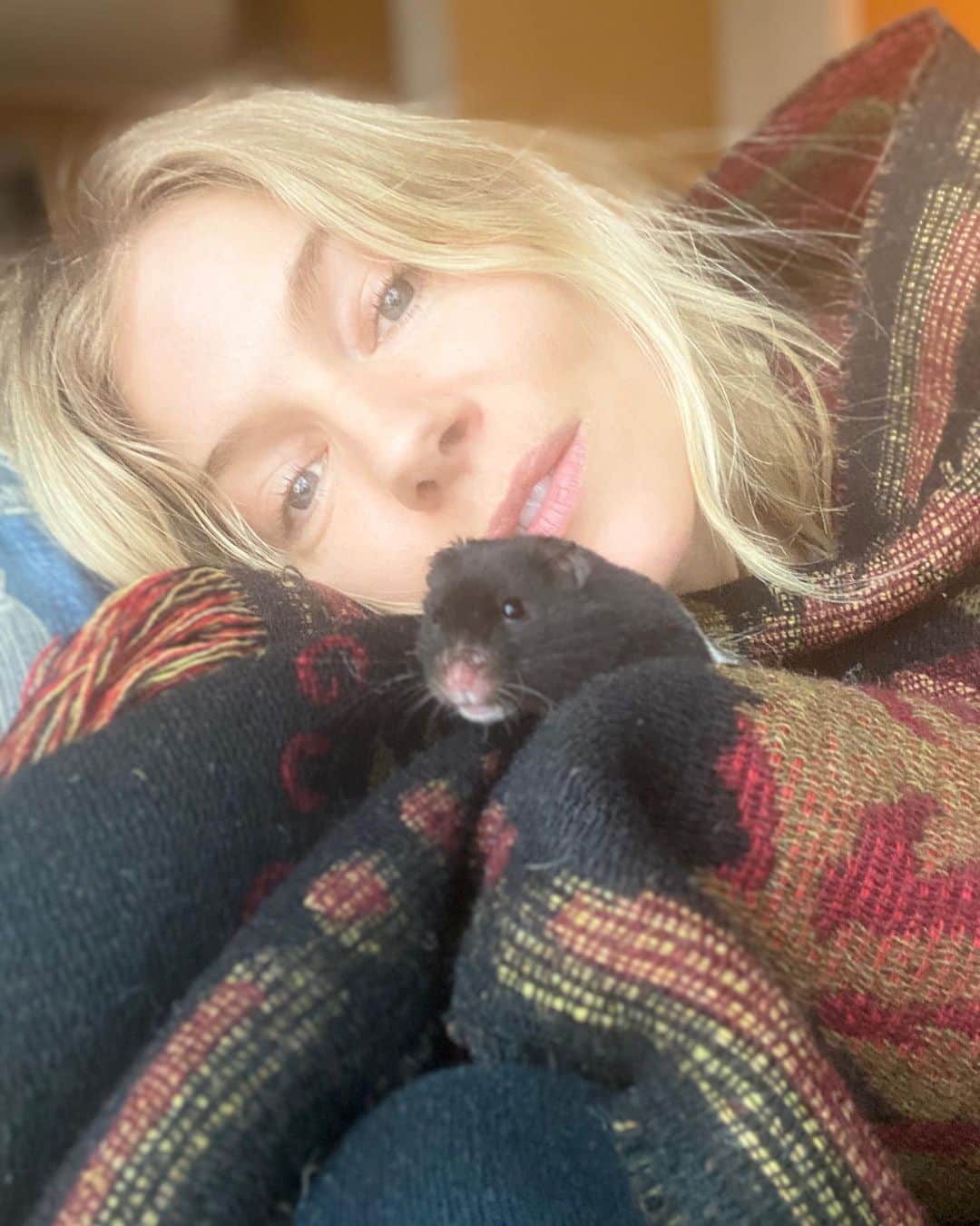 のインスタグラム：「Sienna Miller @siennathing is pictured with her family’s hamster @marchthehamster. “We’re each feeling the anguish of this moment and managing it as best we can. I feel incredibly lucky to be safe in quarantine with my family and our animals. I’m trying to focus on the potential that can come from the anguish—the chance we have to join forces for good, regardless of geography and ideological differences. It’s our shared responsibility to do what we can to help, support and appreciate those incredibly courageous people on the front lines. I’m thinking in particular about the work of the International Medical Corps, an organization I have worked and travelled with for over ten years and who are fighting so courageously to help those in need, here in the US and around the world. We need to do everything in our power to contain the virus and support scientists working on a vaccine or cure. I’m looking forward to getting to the other side of this pandemic and I never want to forget that we’ve shared something profound and deeply painful that may, in the end, bring us closer together.” The actress shares her words with the #GucciCommunity. @alessandro_michele #AlessandroMichele The #GucciCommunity stands behind aiding those most vulnerable in this crisis, join by donating now to the @unfoundation’s #COVID19 Solidarity Response Fund in support of the World Health Organization @who, and locally with @intesasanpaolo's #ForFunding campaign which supports the Italian Civil Protection Department  #DipartimentoProtezioneCivile」
