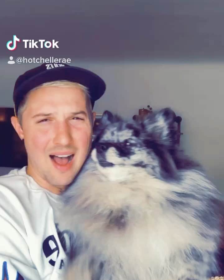 のインスタグラム：「When you get you pup back from the groomer amirite?!」