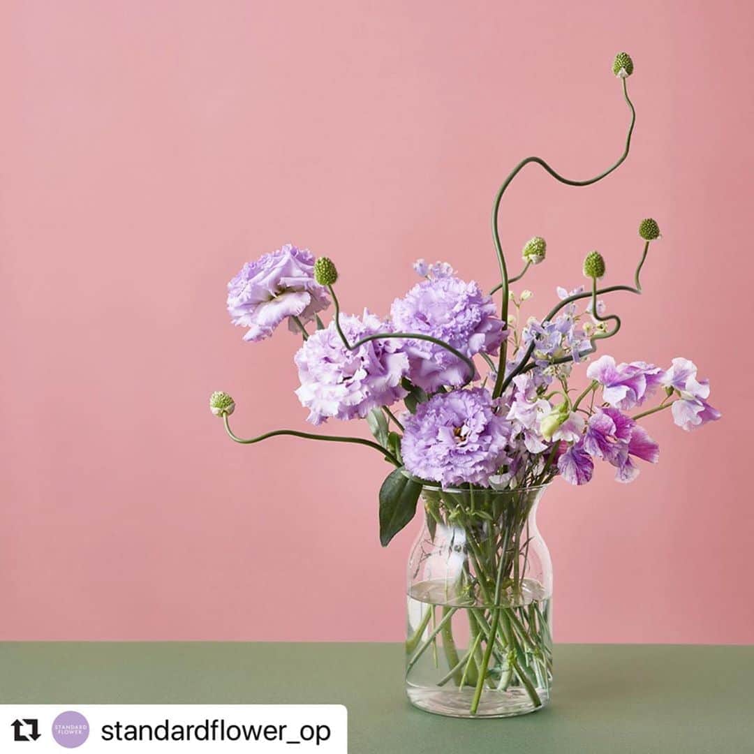 前田有紀さんのインスタグラム写真 - (前田有紀Instagram)「小田急OPカードのウェブサイトの連載、STANDARD FLOWER vol.16「いつもリシアンサスがそばに」が更新されました。私が花のキャリアを積む中で、いく先々でリシアンサスがそばにあったように思います。とても長持ちのお花は、町の花屋さんでも必ず並んでいるお花なので、その中から自分の好きな色、咲き方を見つけてご自宅で飾る一本に手にしてみてくださいね。 . https://www.odakyu-card.jp/news/information/ . またオフィシャルInstagramがスタートしました！過去の記事もみられますので、よかったら覗いてください！フォローしていただいた方へのプレゼント企画もこれからスタートする予定です。お楽しみにー！  photographer  @tetsuo_kitagawa  #北川鉄雄 さん Hair-make @mii0918 萩原緑さん  #standardflower #小田急ポイントカード　#hibiyakadanstyle  #季節の花 #連載 #flowerstagram  #Repost @standardflower_op with @make_repost ・・・ 小田急ポインカードのWebコラム『STANDARD FLOWER. by YUKI MAEDA』の公式Instagramがスタートいたしました！フラワーアーティストの前田有紀さん（@yukimaeda0117）とHibiya-Kadan Styleさん（@hibiyakadan_style）が、「もっと気軽に暮らしに花を」をテーマに、季節を代表する花とその楽しみ方を毎月ご紹介しています。  本日より公式Webコラムでは、Vol.16「リシアンサス」を掲載しています！繊細で可憐なルックスをぜひWebコラムでもお楽しみください♪飾るためのコツも掲載されているので、お花を飾ったことのない方でも気軽にトライしていただけるはずです。  こちらのアカウント、皆さま、ぜひフォローお願いいたします！そして、皆さまの#standardflower_opタグをつけたお花の写真の投稿もお待ちしております。今後、皆さまのご投稿を紹介する企画も計画中！ぜひお楽しみに！  公式Webコラム：https://www.odakyu-card.jp/news/information/feature/2020/04/25/42026/ . . #standardflower_op  #standardflower  #おうち時間  #花でつなぐ小田急  #花 #花のある暮らし #花が好き #フラワーアレンジメント #花好きな人と繋がりたい  #前田有紀 #guiflower  #ヒビヤカダン #ヒビヤカダンスタイル #ルコネル #hibiyakadan #hibiyakadanstyle #reconnel #ハナノヒ  #小田急線 #小田急ポイントカード #opカード」4月27日 11時08分 - yukimaeda0117