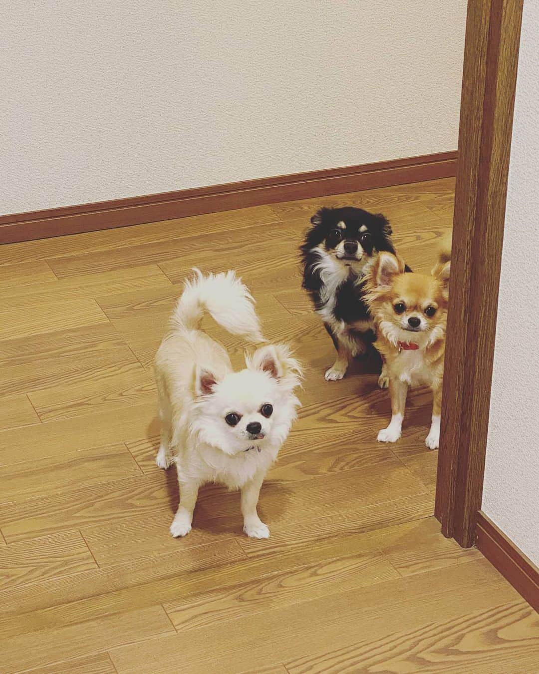 味岡ちえりのインスタグラム