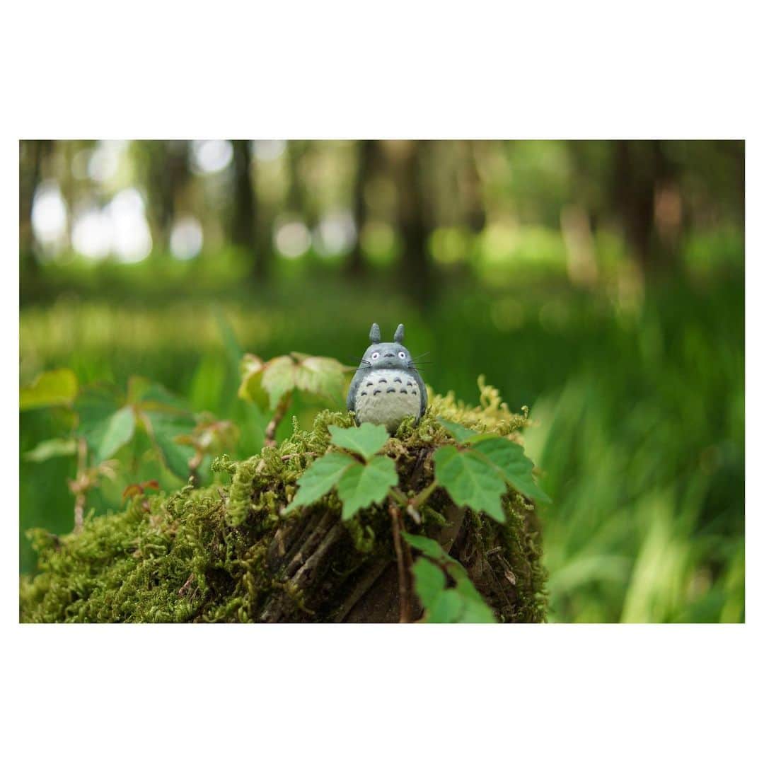 nqouのインスタグラム：「#となりのトトロ #トトロ #totoro #ジブリ #ghibli #nqouminiature」