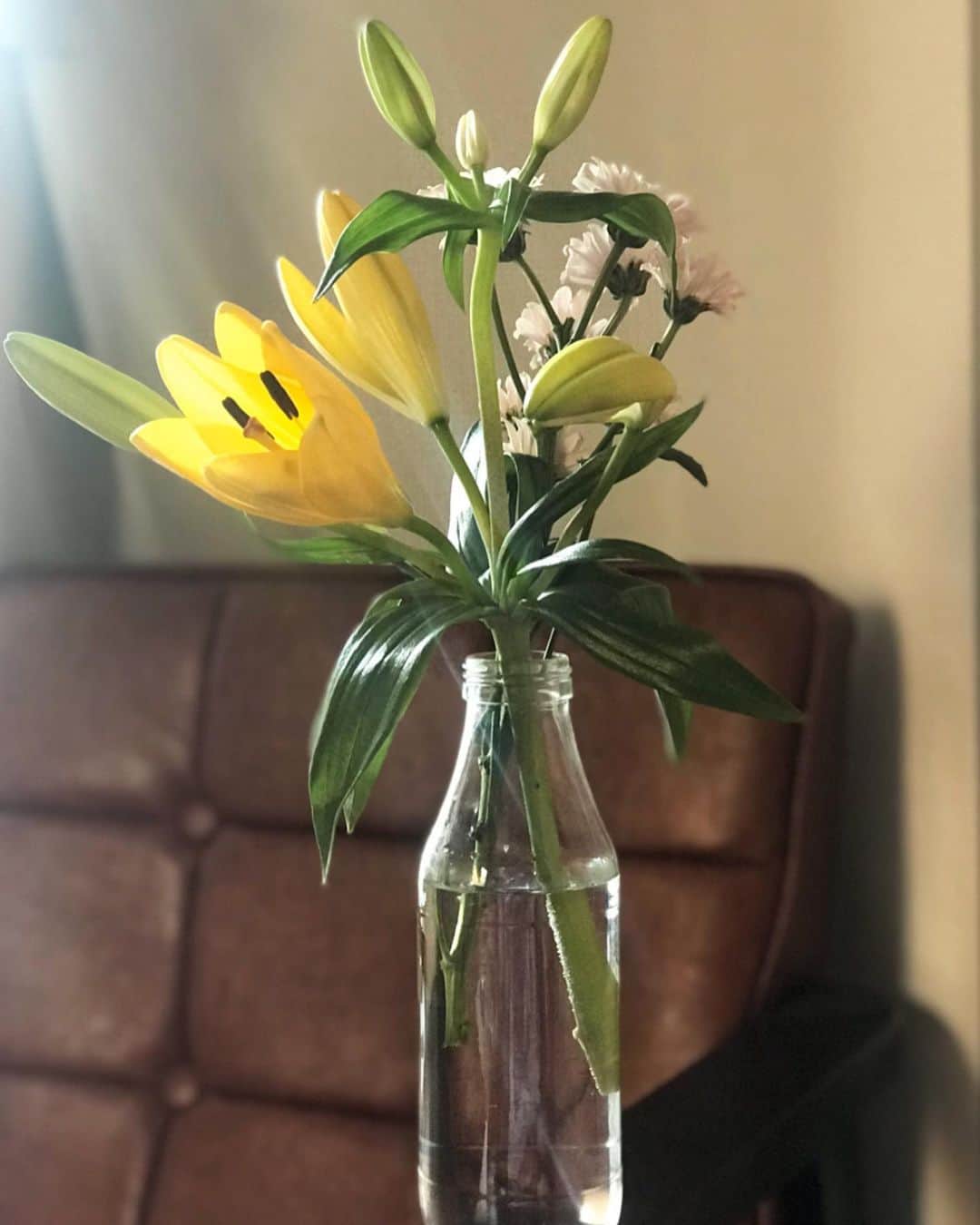 倉岡晋也のインスタグラム：「Almost blooming ✔︎ Pretty yellow lily. The empty bottle is used as a flower vase. I enjoyed so much tasty apple juice @mikami_farm thanks!! 美味しすぎる、無添加/無加水/無加糖の青森産リンゴジュース。 旨すぎて、一気に飲み干してしまいそうなのを我慢して 大切に飲みましたw 舌先から身体中に拡がるナチュラルな甘さが凄くて、、 飲んだあとの後味まで美味しい。。 一昨年の台風で、 かなりのダメージを受けた青森のリンゴ農家さん。 三上さんは、他の農家の落ちたリンゴまで買い取りジュースにして販売したりと心優しい農家さんなのです。 そんな貢献型盛り上げ隊長 なのに、よく思わない方もいる？わけで、、。 なんだそれ、、。 地方の農家さん達の苦労たるや頭が下がります。。！ そんなリンゴジュースの話考えてたら、、なんだか、飲み切ったボトルまで捨てられなくなってw 今いる滞在先で、花を飾ったり 結果、心が穏やかになったり。。 (余計な情報ですが、僕は今Covid19の影響でフランスに帰る事が出来ず、東京で滞っておりますわけで) こんな状況で、頭もグルグル？ 美味しいリンゴジュースでも飲んで、自然を感じて！ 気持ちも穏やかに！ 花を眺めて心も身体もニコニコ。なんて最高 皆様どうぞ健康で！！ 僕はすこぶる元気です！☺︎ #三上ファーム #リンゴジュース Thanks @osorezanlime」