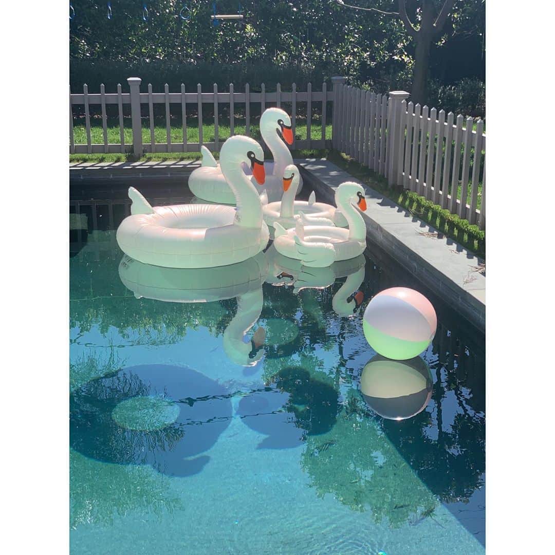 エリン フェザーストンのインスタグラム：「Stay home...but make it fun #thefetherednest #sunnylifeaustralia」