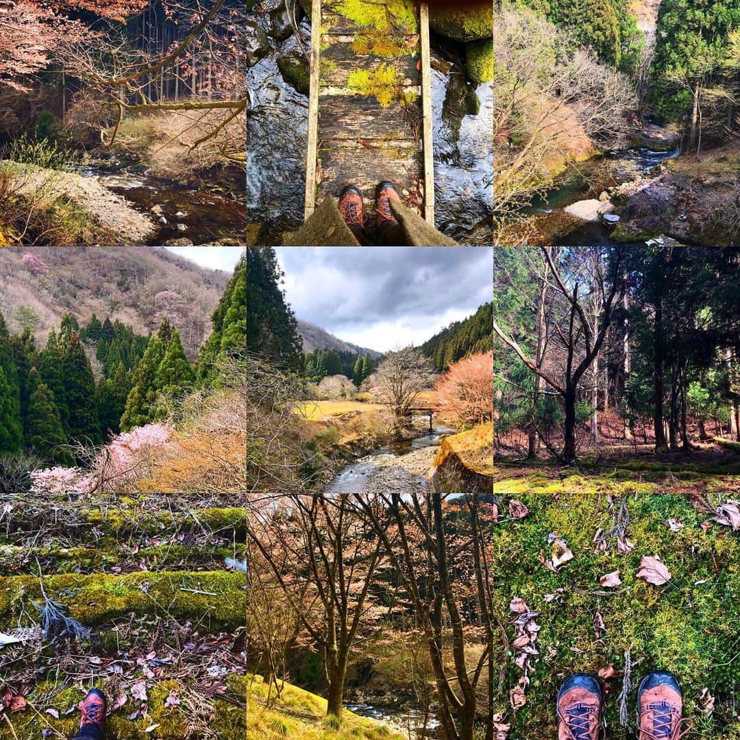 CHIPPRUSONのインスタグラム：「京都の山深く⛰ ・ ・ コロナ自粛で見えてきたことと言えば、私は街の暮らしが合わないのだな、ということだろうか。人がいなくなって静かになった暮らしに、どこかホッとするのは私だけだろうか。そもそもいつかは田舎へ行こうと思っていたけれど、思っていたより早くなってもいいかな、と思う。土や水や火を使い、人間らしく動物や自然と仲良く暮らしたい。庭に果樹園、畑で小麦を作って小麦を挽いて、発酵と共に暮らしたい。そんな思いがより強くなったこの頃。」