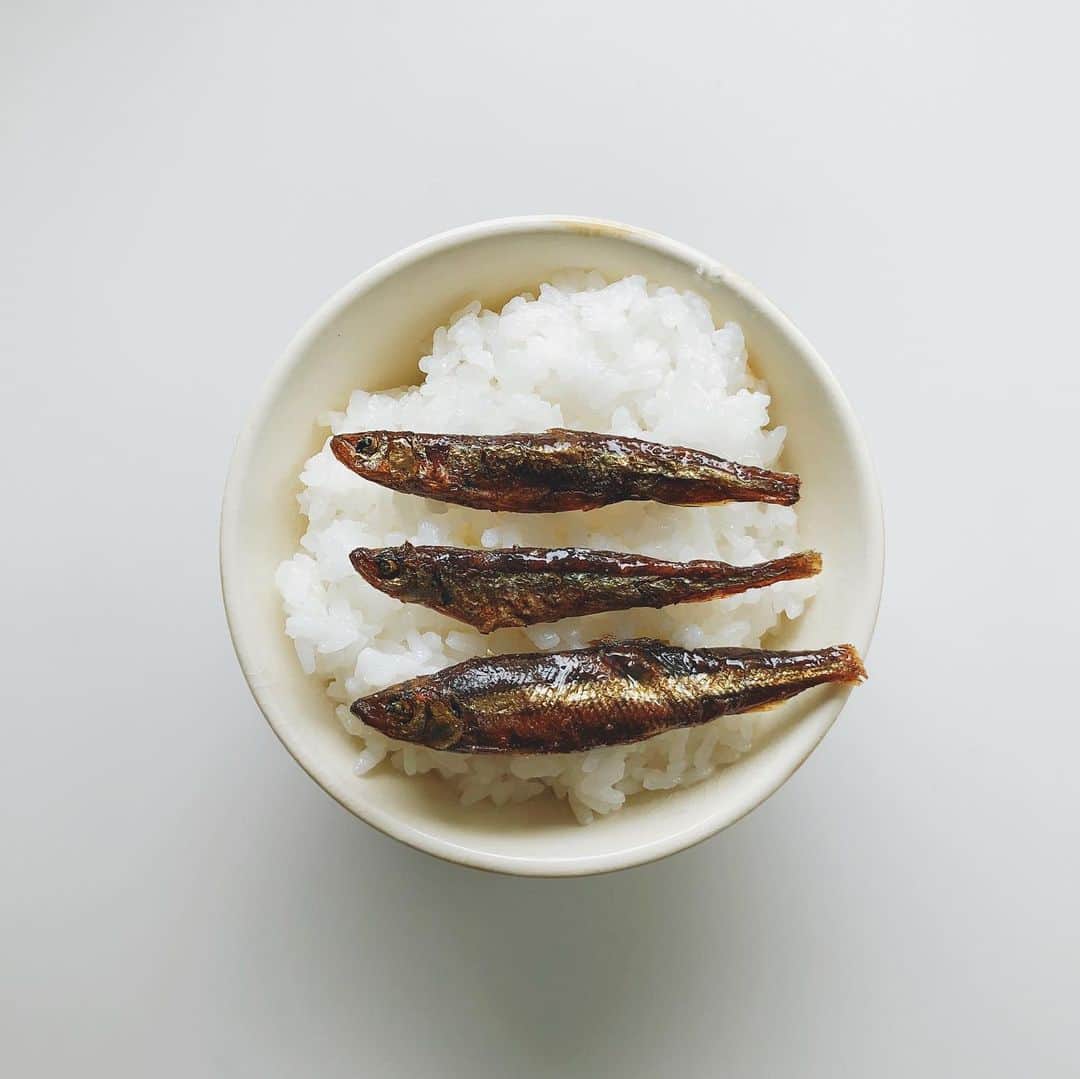 Takafumi Gotoのインスタグラム：「🍚」