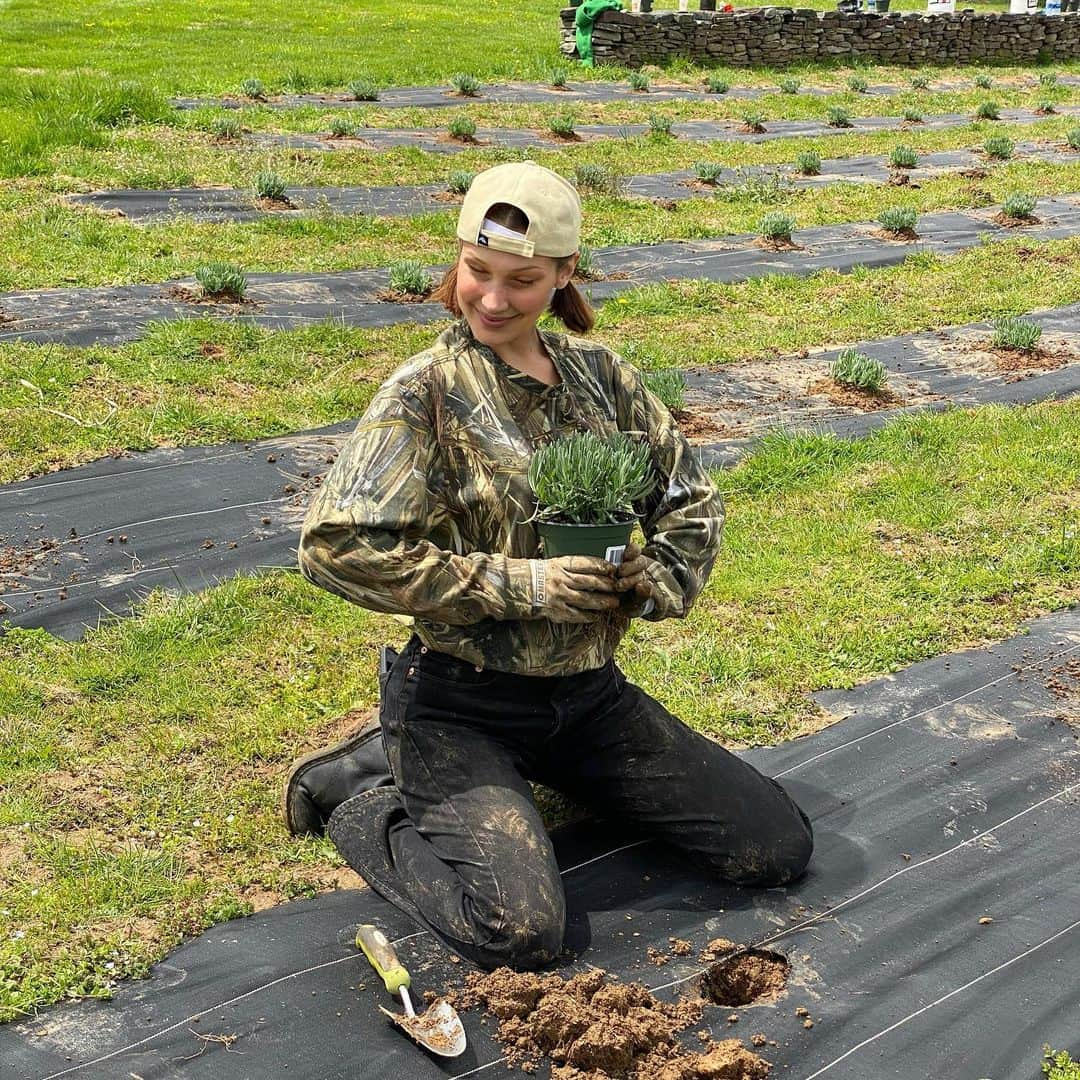 ベラ・ハディッドさんのインスタグラム写真 - (ベラ・ハディッドInstagram)「We finally re-Planted our 1500 lavender babies😇Proud❤️」4月27日 6時50分 - bellahadid