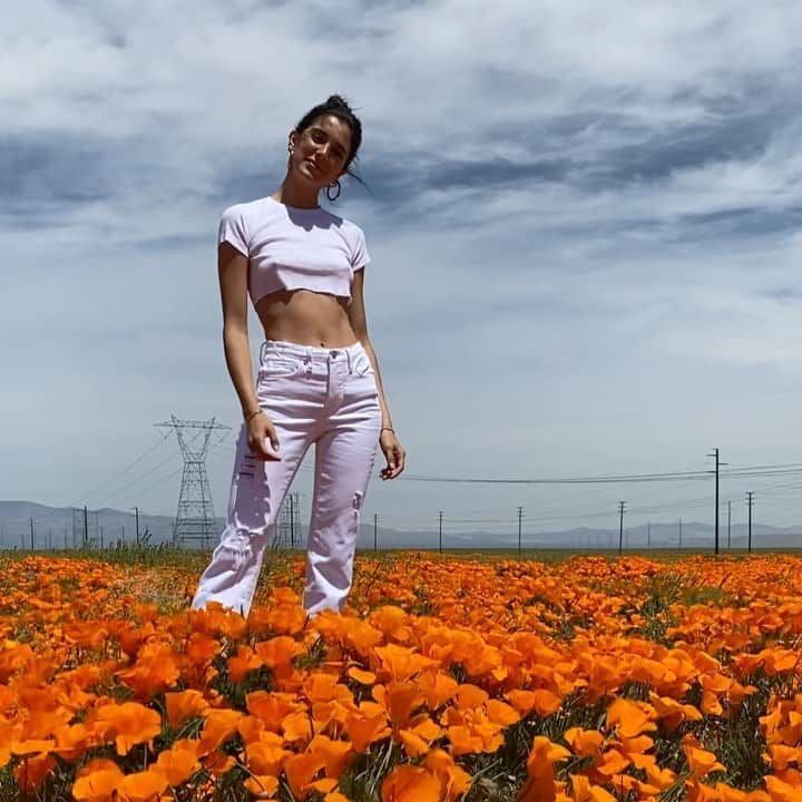 ローレン・ペルツのインスタグラム：「🌼🌼🌼」