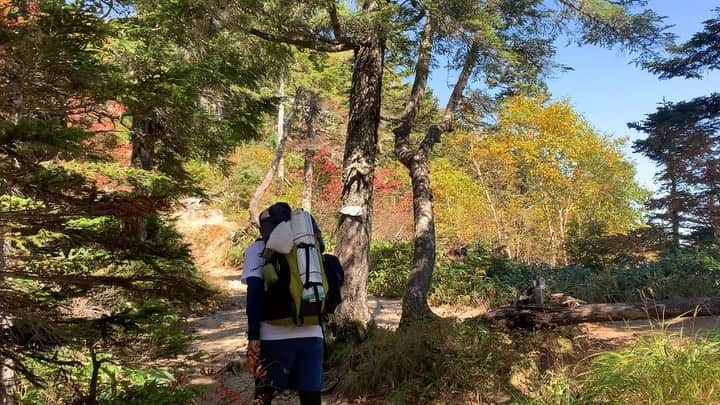 中村葵のインスタグラム：「＊ 合戦小屋までの登山道の動画⛰🍁 と、父。笑 ＊ ＊ #登山 #山登り　#登山道　#秋山　#燕岳　#北アルプス　#長野県　#山登り好きな人と繋がりたい #登山好きな人と繋がりたい #山ガール　#山歩ガール　#自然が好き #japan_of_insta #instagood #japan」