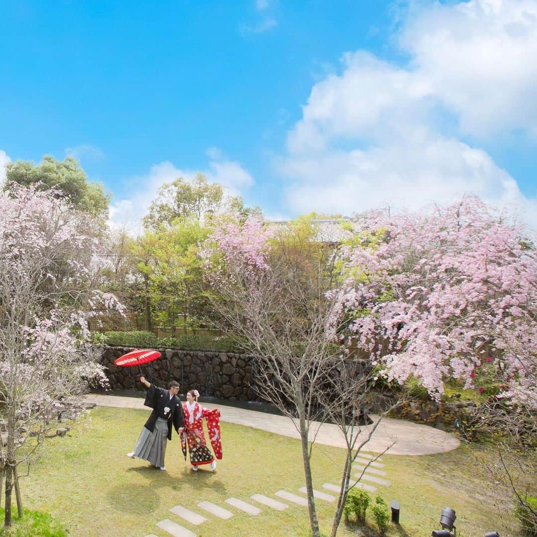 桜鶴苑のグルメインスタ