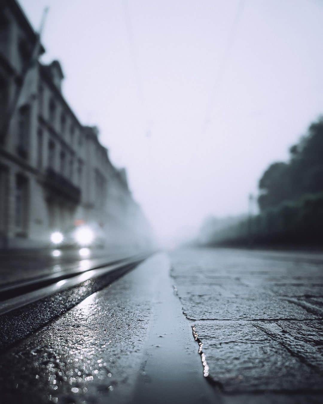Thomas Kakarekoのインスタグラム：「downtown brussels Let me be honest: Brussels has never been on my bucket list and the only reason for my visit was a campaign shoot for a hotel brand. However, as with all places where you have no high expectations, I managed to find a lot of beautiful places to photograph and was surprised how much fun I had in the end. Brussels might seem grey and boring from the outside, but when you have a closer look, you will find great architecture, uniques cafes and tons of beautiful sights and monuments.  #brussels」