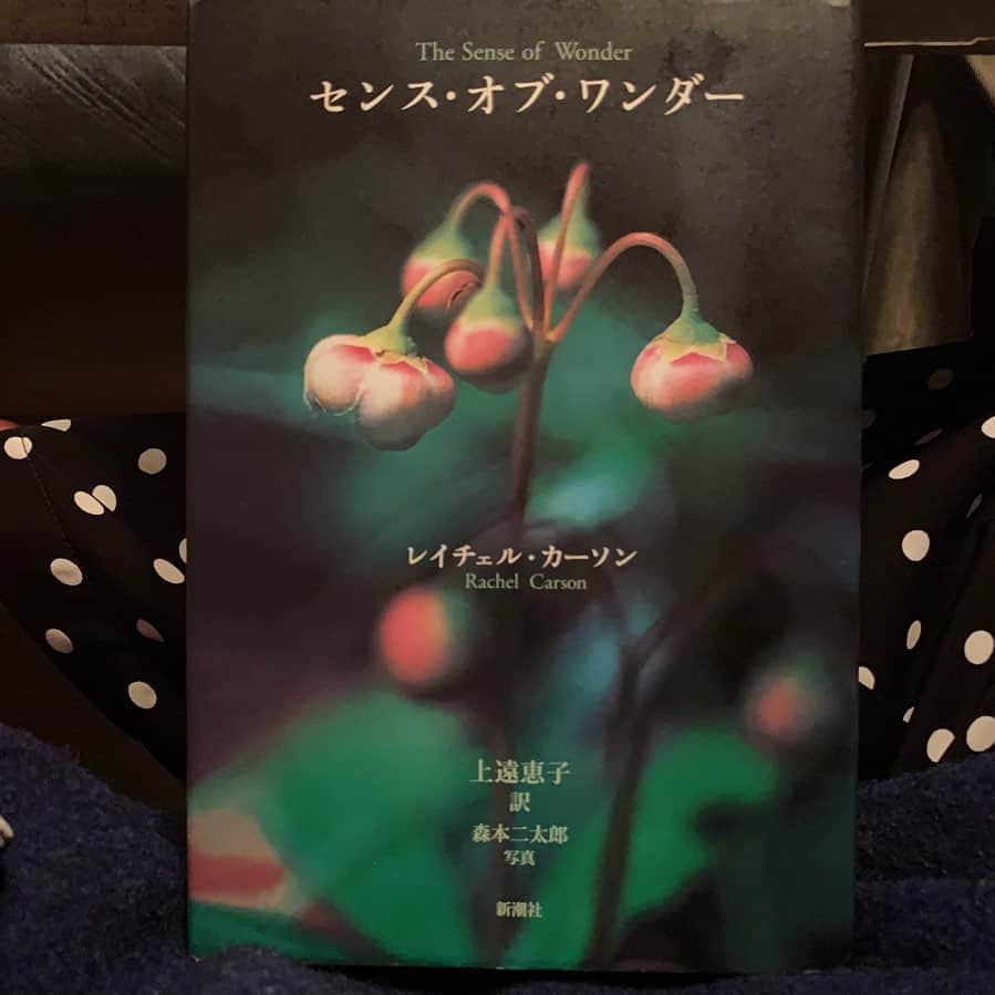 風間ゆみえのインスタグラム：「７日間ブックカバーチャレンジ📘" #bookcoverchallenge  @sadamayumi  @kayokohirao ふたりからのバトン  これは読書文化の普及に貢献するためのチャレンジで、好きな本を1日一冊、７日間投稿。本についての説明は必要なく、表紙画像だけをアップ。更に、その都度一人の友達を招待し、このチャレンジへの参加をお願いするというルールです。  2日目はレイチェルカーソン『センス・オブ・ワンダー』  2日目のバトンは 大好きな女優で友人の原田夏希ちゃんへ繋ぎます。　@natsuki_harada  なつき、素敵な本、面白い本、楽しみにしてるね❤️」