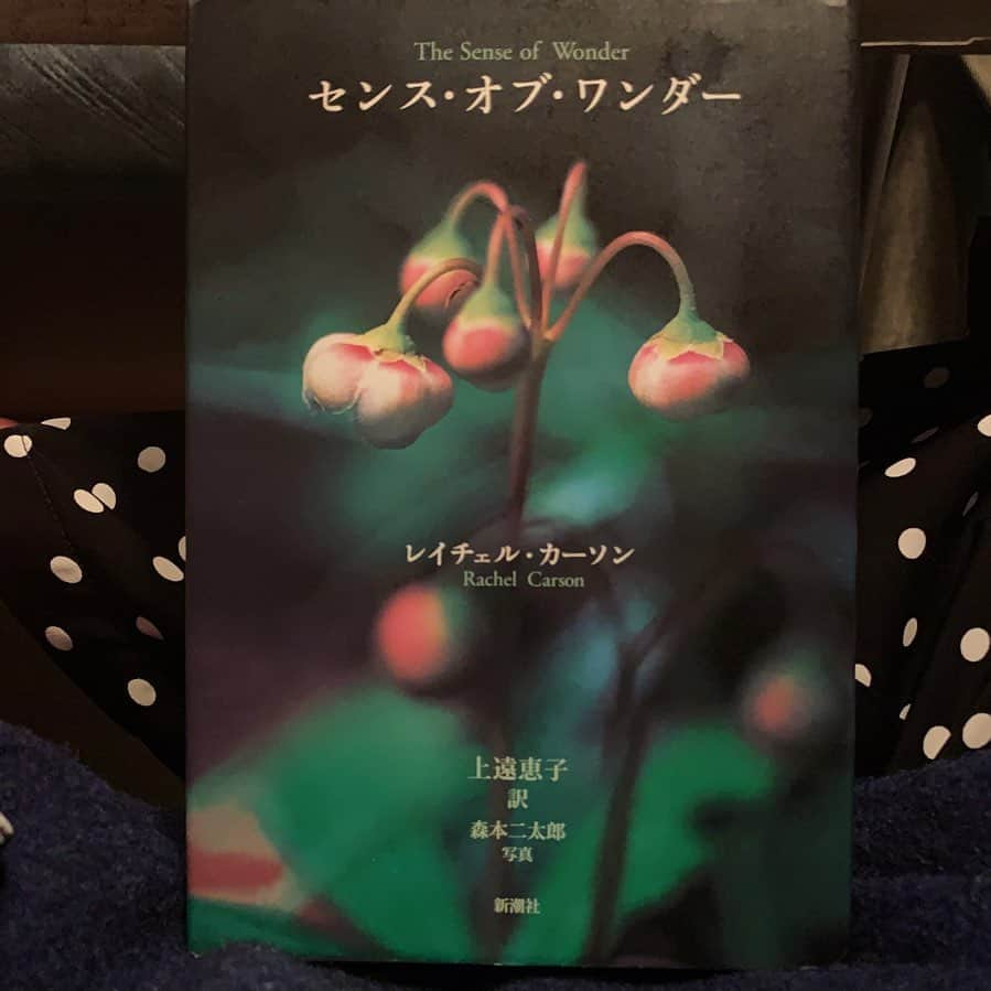 風間ゆみえさんのインスタグラム写真 - (風間ゆみえInstagram)「７日間ブックカバーチャレンジ📘" #bookcoverchallenge  @sadamayumi  @kayokohirao ふたりからのバトン  これは読書文化の普及に貢献するためのチャレンジで、好きな本を1日一冊、７日間投稿。本についての説明は必要なく、表紙画像だけをアップ。更に、その都度一人の友達を招待し、このチャレンジへの参加をお願いするというルールです。  2日目はレイチェルカーソン『センス・オブ・ワンダー』  2日目のバトンは 大好きな女優で友人の原田夏希ちゃんへ繋ぎます。　@natsuki_harada  なつき、素敵な本、面白い本、楽しみにしてるね❤️」4月27日 19時59分 - yumie_kazama