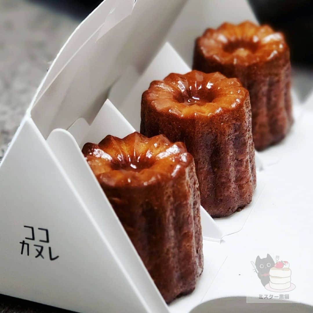 ミスター黒猫（黒猫仙人）のグルメインスタ