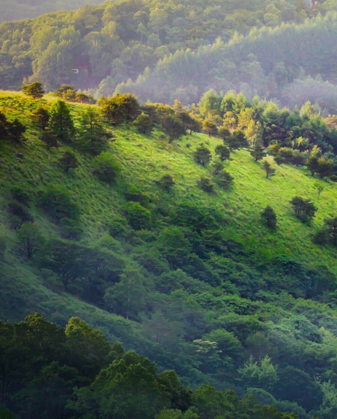 kyoko_zzzのインスタグラム：「Fairy hill  #landscapephotography」