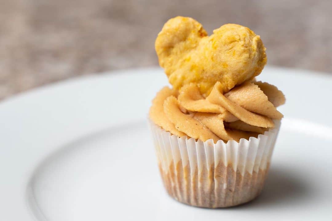 アシュリン・ピアースのインスタグラム：「What a pawfectly sweet #InstaBake! 💕🐾💕 Me and my puppy Luca had such a wonderful time baking these peanut butter and sweet potato pup-cakes with you all! 👩🏼‍🍳 I hope you had as much enjoyment watching this Sunday’s bake as Luca did eating these scrumptious treats! Which was A LOT! 🐶 Join me again next week for another delicious and fun recipe! 😋 📷: @thecinesol  #AshlynPearce #Actress #Baker #Bake #PastryChef #Model #Director #Dogs #Puppies #PupCakes #Cupcakes #DogTreats #PeanutButter #Doggo #Puppy #Pupper #Heart #Cookies #Baking #Love #Rescue #AdoptDontShop #AnimalRescue #BestFriend #Chihuahua #Terrier #Mix #Paws #Sweets」