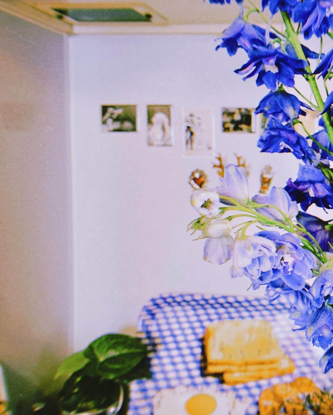 東佳苗さんのインスタグラム写真 - (東佳苗Instagram)「my room 祈りと許しの化身たち☁️更新中🔖」4月27日 12時59分 - usagi_kanae