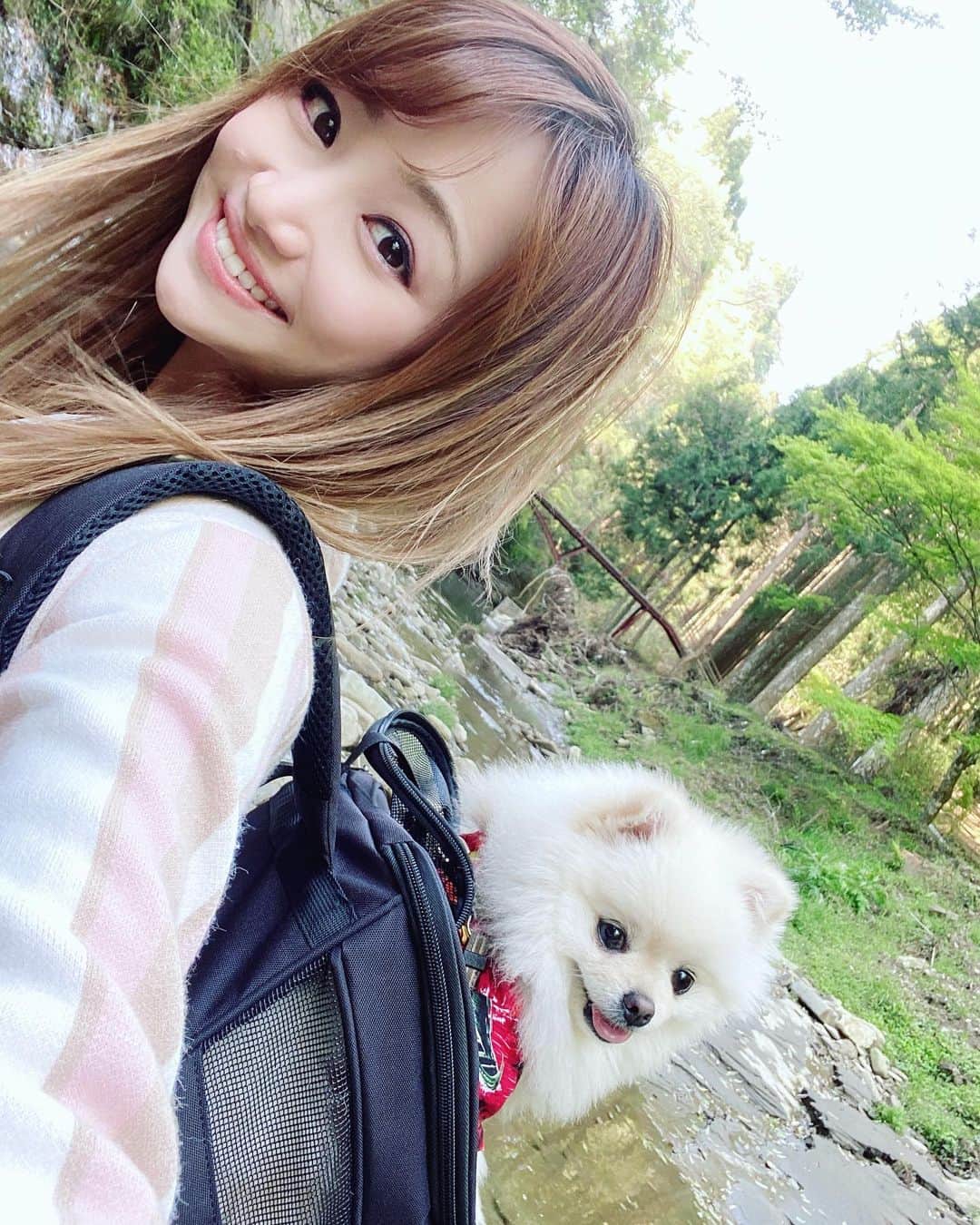 葵ゆりかのインスタグラム：「@winsun.japan の、ペットキャリーのご紹介♡ （過去pic）  おもちくん、気管支があまり丈夫じゃないので たくさん歩くとすぐ、ゼーゼーしてしまいます😢 そんなとき、 @winsun.japan  のリュックが大活躍♡  通気性も抜群、軽いのにしっかりしてるので、蓋閉めて置いても、ゆったり休憩できるよ🐶 動物病院行くときとかもおすすめ！ 早く一緒にお出かけしたいな♡  私のインスタフォロワー様✨ 10%OFFで購入できます！ クーポンコード：【10off1909】  #winsun #ウインサン #ペットキャリー #キャリーリュック #刺繍入りリュック #ペットリュック　#愛犬　#おもち　#pomeranian #ポメ　#白ポメ #うちの子グッズ #いぬすたぐらむ #愛犬とお出かけ #愛犬と旅行 #キャリーバッグ #ポメラニアン #愛犬との暮らし #動物病院 #わんことお出かけ #winsun #刺繡 #小型犬」