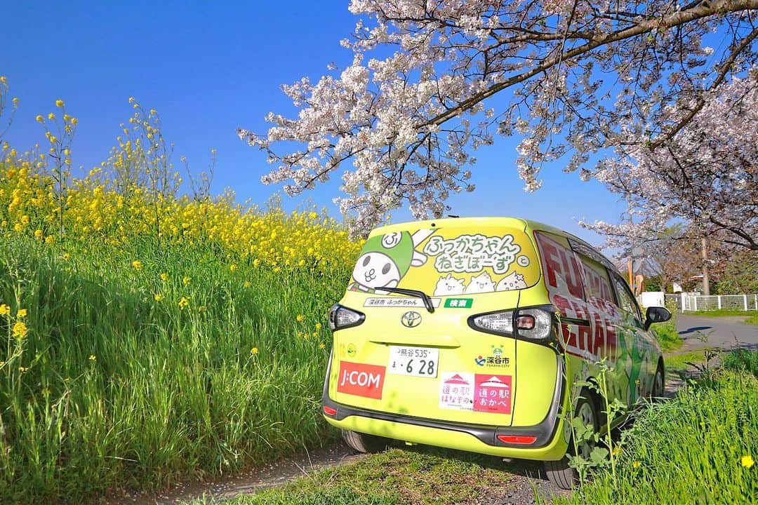 ふっかちゃんのインスタグラム