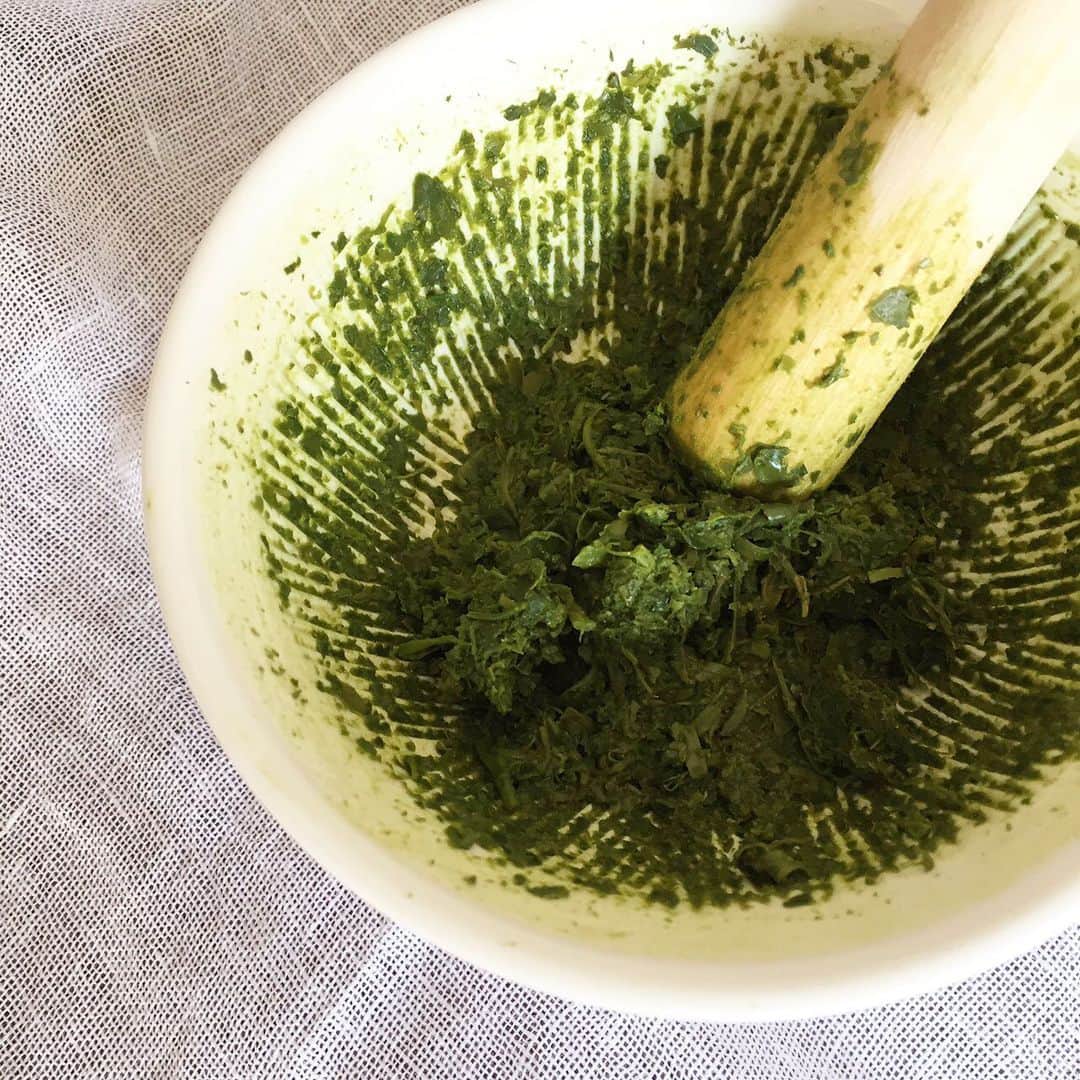 ecomfort（エコンフォート）さんのインスタグラム写真 - (ecomfort（エコンフォート）Instagram)「無農薬栽培オクミドリの活用方法！  極上のお茶「オクミドリ」を2回楽しんだあと、出がらしをすり鉢で細かくして、白玉粉に混ぜるだけ！  茹でると色がパアッと鮮やかな緑になり、食べるとモチっツルっ、かすかにお茶の香りがして美味しいです！  無農薬栽培だから安心して食べられるのも、「オクミドリ」の良いところ。 「オクミドリ」の活用法などございましたらぜひ教えてくださいね！  皆さまでおうち時間を充実させ、FIKAタイムをしましょう🍵  価格:1,300円（税込） ▷プロフィールから詳しい情報をご覧頂けます→@ecomfort_eoct  #エコンフォート #ecomfortHouse #サスティナブル #サスティナブルショップ #エコ　#サスティナブルな暮らし #暮らしを楽しむ #丁寧な暮らし #おうち時間をもっと快適に  #おうち時間をもっとたのしく #おうち時間 #テレワーク #リモートワーク #在宅勤務　#北欧 #今日の買い物が未来を変える #ホームデトックス　#オクミドリ　#お茶　#🍵　#fika  #お菓子作り　#ua#無農薬栽培」4月27日 15時17分 - ecomfort_eoct