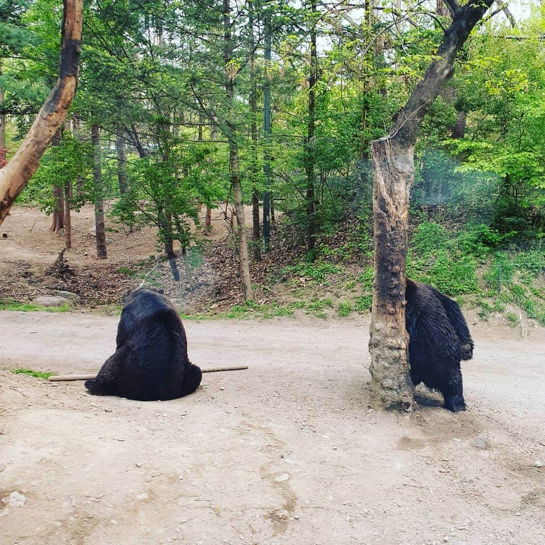 ヒョソク さんのインスタグラム写真 - (ヒョソク Instagram)「내나이 28 오랜만에 휴가 점점 놀이기구보다 꽃이나 동물보는게 더좋다ㅎㅎ 점점 할아부지가 되어가네  아직도 많은분들이  생일축하해주시네요 한분한분 너무감사드립니다😍😍」4月27日 21時30分 - kimhyoseoks