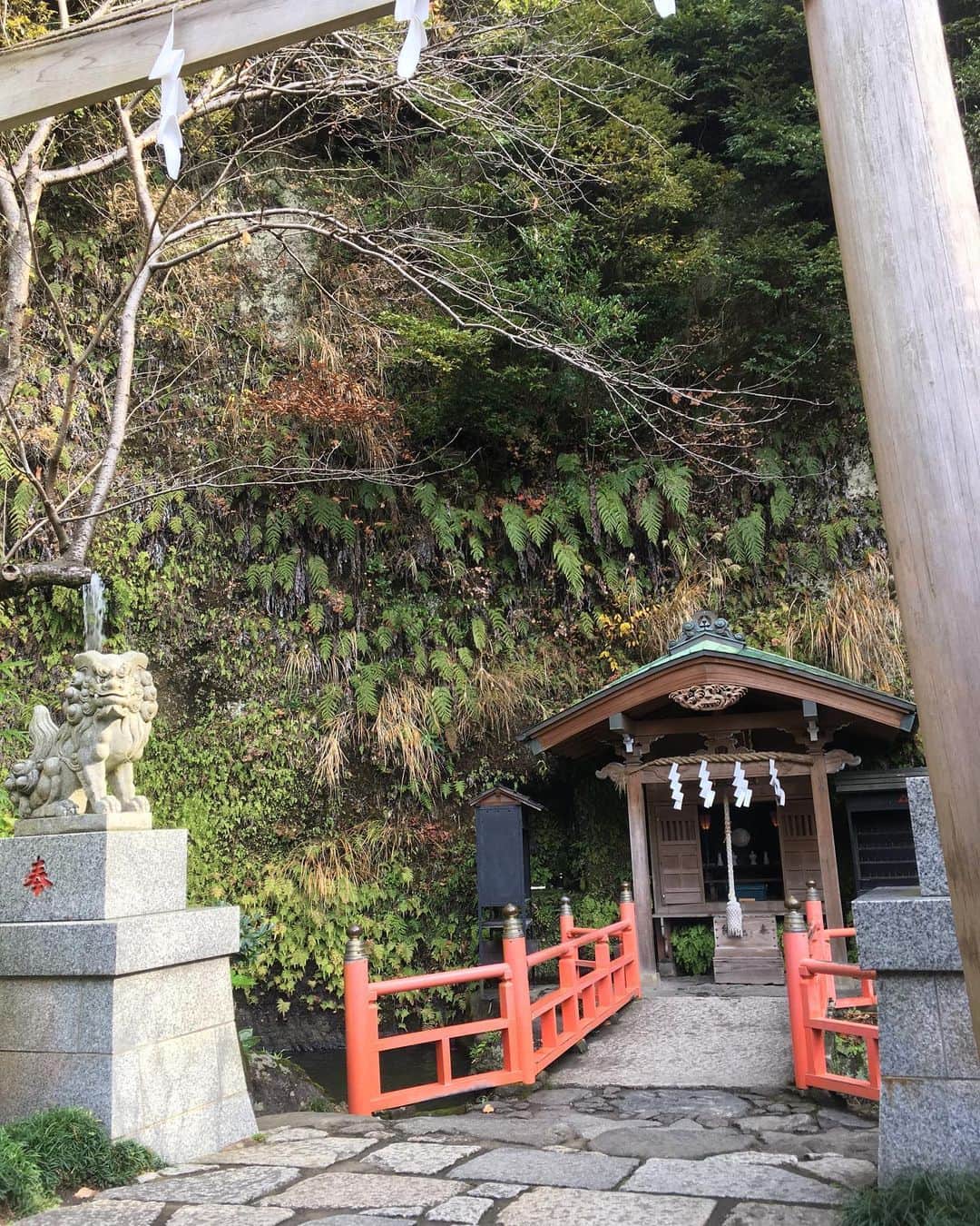 福山理子さんのインスタグラム写真 - (福山理子Instagram)「癒し いまは、神社さまお寺さまも 我慢です。  #宇賀福神社 #鎌倉銭洗弁財天 #パワースポット」4月27日 16時46分 - rikofukuyama