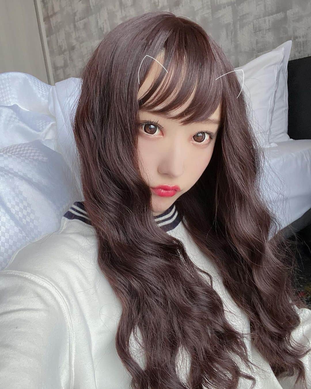 おもてちゃんのインスタグラム：「. ズラよ🐈」
