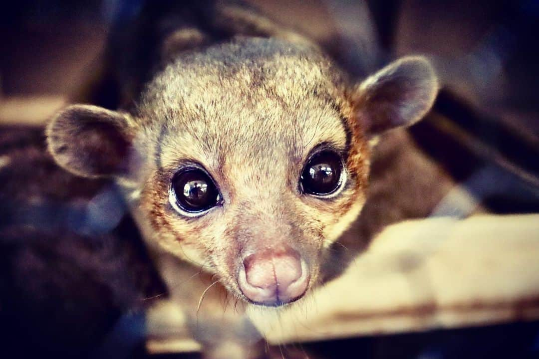 【公式】福岡ECO動物海洋専門学校のインスタグラム