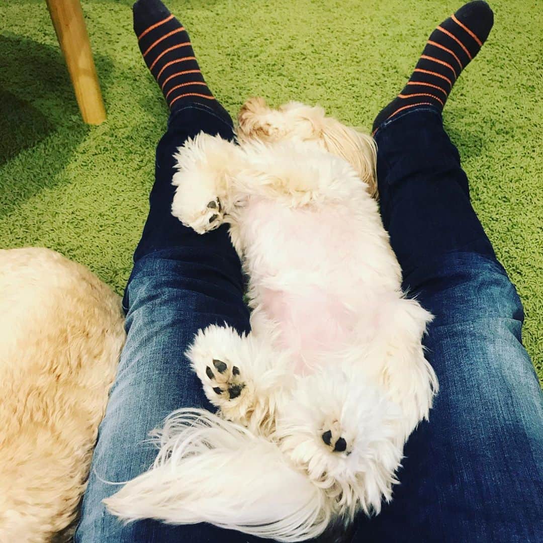 北山陽一のインスタグラム：「この感じは初めてだな。#きたやまおもち #きたやまおかき」