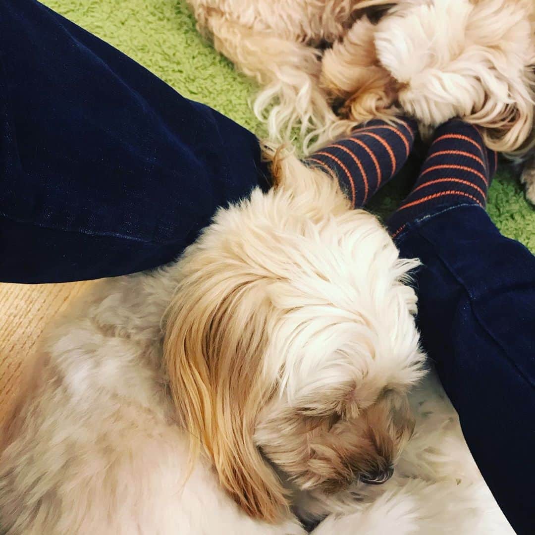 北山陽一のインスタグラム：「これも珍しい。#きたやまおもち #きたやまおかき」