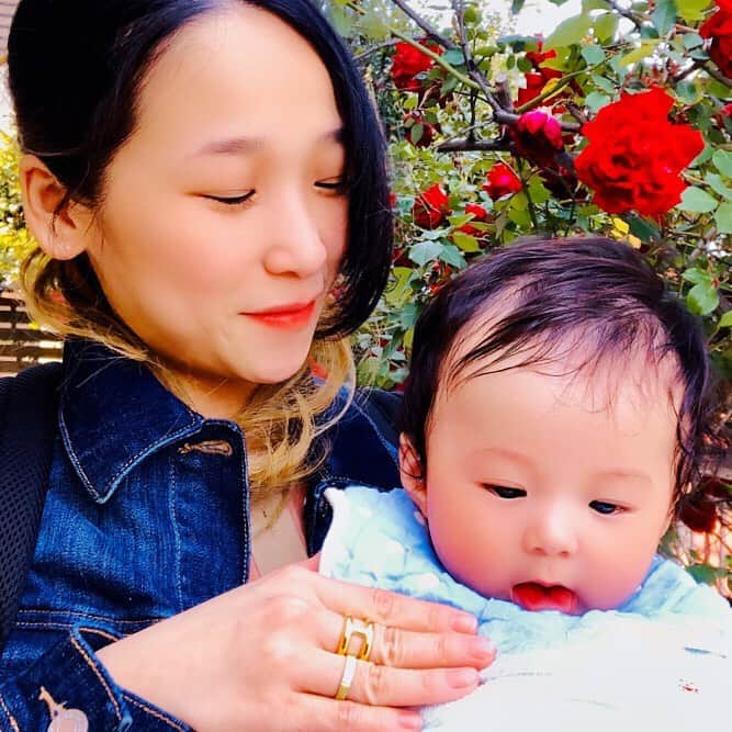 世手子さんのインスタグラム写真 - (世手子Instagram)「Roses in the garden were in full bloom🌹✨ I looked at the rose with my son｡･ﾟ｡+ﾟ*｡ﾟ･(*ﾟ∀)*´∀)*`∀)｡･ﾟ｡+ﾟ*｡ﾟ･ With freshly washed hair川＾０＾川 Have a nice Monday everyone too🏠🏠 @fing_official #fing #アクセサリー 付けた💍*。 #belief #brass の #ringgold と #ANR056 だよ(*´▽｀)ﾉﾉ #庭の薔薇 が #満開 だった（≧∇≦） #おうち🏠 で気分良く我が子と #オシャレコーデ #リング (^ ^) #指輪 で #手元 が明るくなる #ジュエリー (о´∀`о) #アクセサリー通販 だからいまの時期 #気分転換 にもいいよね(〃ω〃) #重ね付けリング もオシャレだょ(*^^*) 今ならお得な300円OFFクーポンコード発行してもらったょ(*´◒`*) →300ytk(2020/5/24まで有効、WEBショップにて使用可能) 是非使ってみてね(๑˃̵ᴗ˂̵) 今日は @biyousenka_raffi #ラフィーシャンプー で #洗いたて が気持ちいい(*´∀`)♪ 今日もいい月曜日だ（＾＿＾）☆ #stayhome #stayathome #うちで過ごそう  #薔薇のある暮らし #薔薇🌹 #薔薇のある庭 #薔薇が好き #薔薇色の日々 #薔薇好きな人と繋がりたい #薔薇好き  #pr」4月27日 18時17分 - rojide