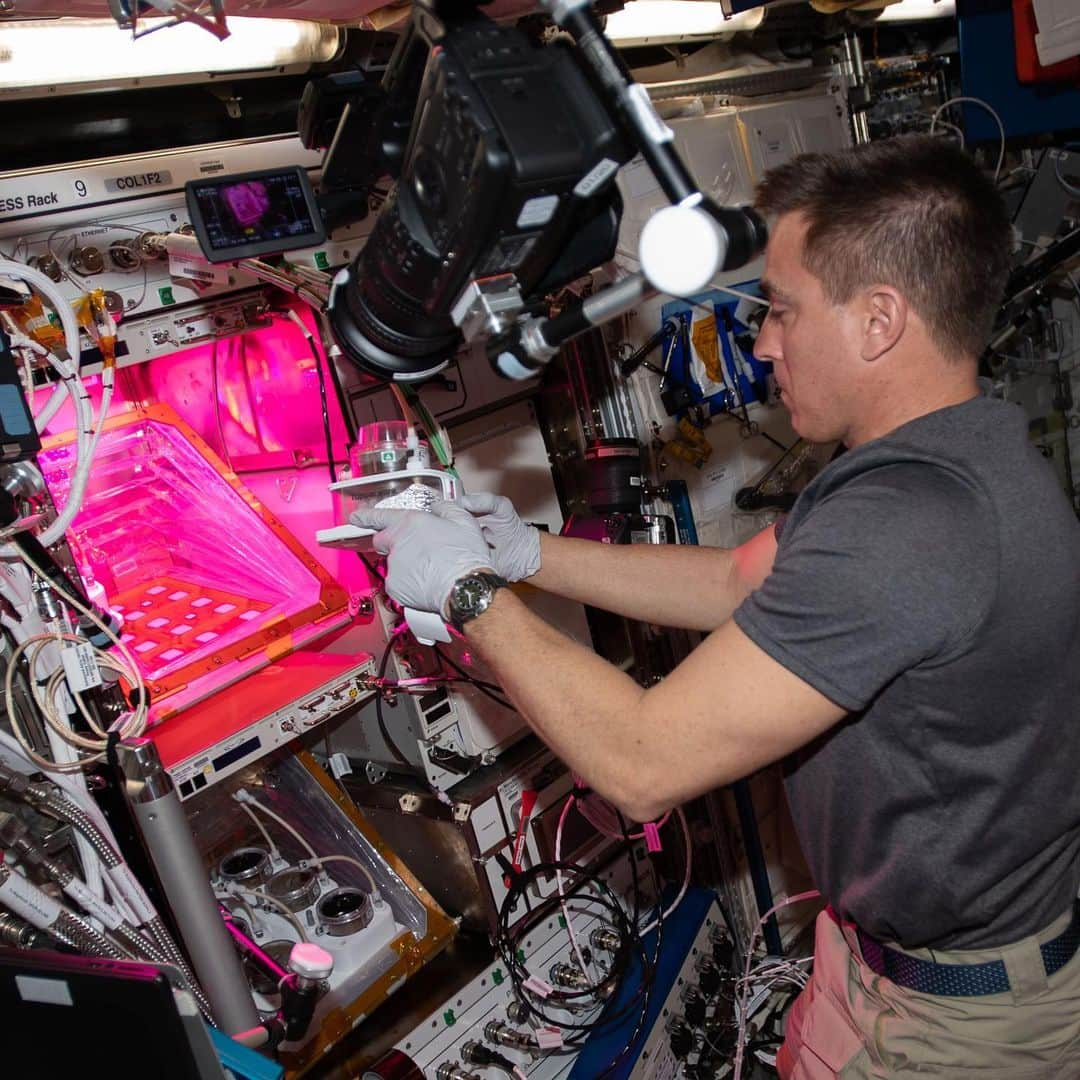 国際宇宙ステーションさんのインスタグラム写真 - (国際宇宙ステーションInstagram)「NASA astronaut Chris Cassidy (@astro_seal) is the Expedition 63 commander aboard the International Space Station. Cassidy has been on the orbiting lab since April 9 conducting space research benefiting human health, industry and technology. #nasa #astronaut #science #research #health #industry #technology #international #space #station」4月28日 5時22分 - iss