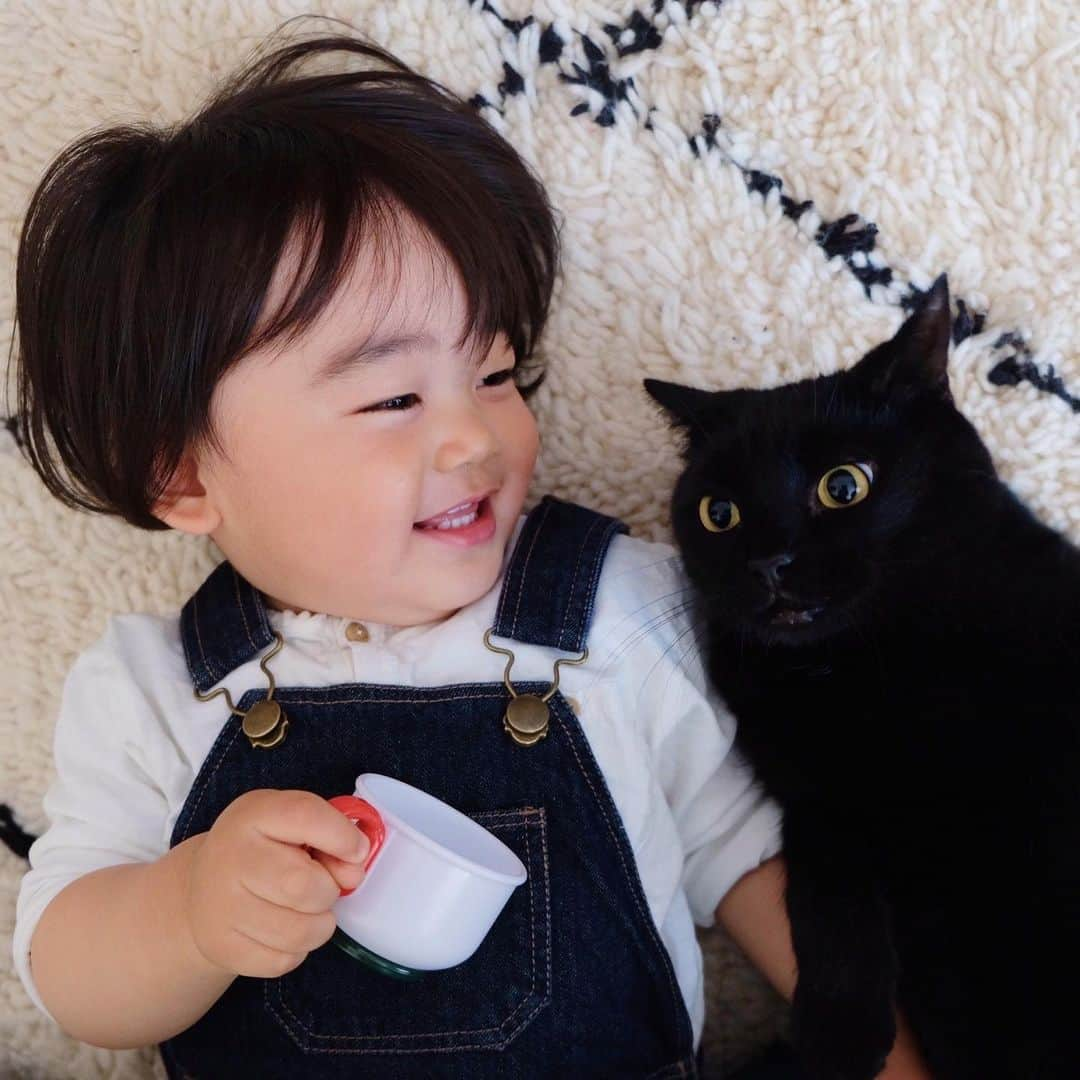 ギネス & ピムスさんのインスタグラム写真 - (ギネス & ピムスInstagram)「27/04/2020 Happy Monday! ・ Guinness and Nagi. Have a good week everyone! #stayhome ・ ・ ギネス王子とオーバーオール凪ねこ。 車と電車と猫の他に 最近おままごとにもハマり、 おもちゃの野菜やらおかずたちは 必ずカットした後、 本当にもぐもぐしている😂 そして、ティーカップ常に持参。笑 ピム丸バージョンもあるので、 また今度postします👦🏻 それでは 今週もよろしくお願いします♬ ・ ・ #おうち時間  #ギネスくん　 #ギネピムと凪くん  #1yearold #1歳 #1歳4ヶ月 #16monthsold  #babyboy #男の子ベビー #赤ちゃんのいる生活 #赤ちゃんのいる暮らし #赤ちゃんと猫 #猫と赤ちゃん」4月27日 22時19分 - rina_takei