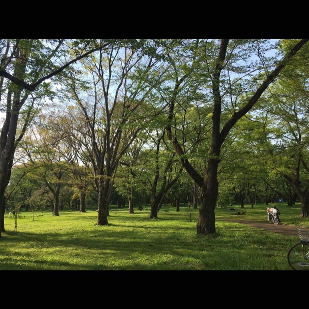 丸山智己さんのインスタグラム写真 - (丸山智己Instagram)「緊急事態宣言が出てから3週間。 流石にしんどくて、昨日初めて公園に自転車で散歩に出たら緑が美しすぎて泣きそうになったよ。 当たり前のことがこんなに素敵に見えるなんて。 逆にいえば、こんなに見過ごしていたなんて。  #自粛生活  #修行 #公園 #自然 #手放せば豊かになれる #削ぎ落として研ぎ澄ます」4月27日 23時20分 - tomomi.maruyama0327