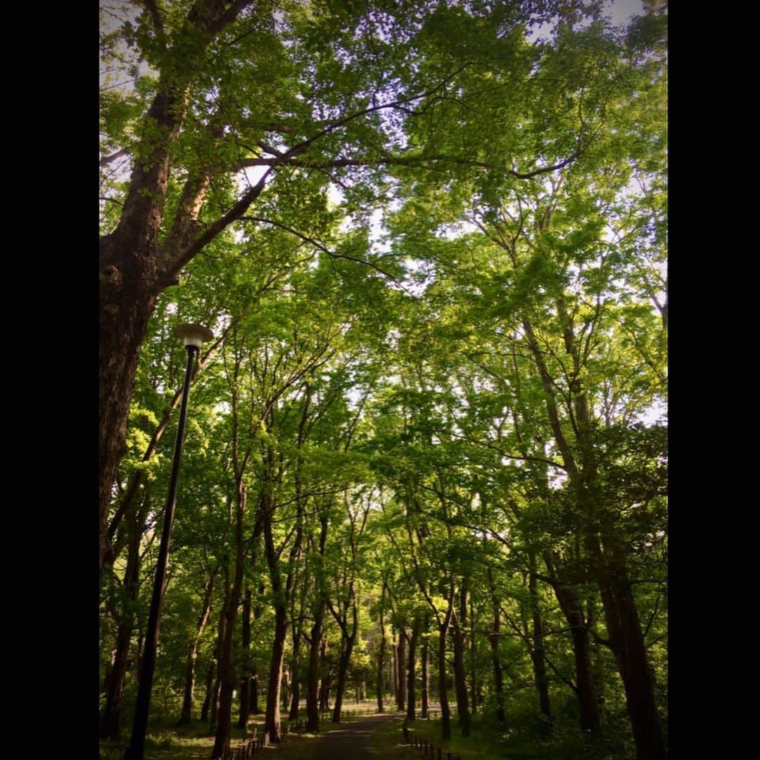 丸山智己さんのインスタグラム写真 - (丸山智己Instagram)「緊急事態宣言が出てから3週間。 流石にしんどくて、昨日初めて公園に自転車で散歩に出たら緑が美しすぎて泣きそうになったよ。 当たり前のことがこんなに素敵に見えるなんて。 逆にいえば、こんなに見過ごしていたなんて。  #自粛生活  #修行 #公園 #自然 #手放せば豊かになれる #削ぎ落として研ぎ澄ます」4月27日 23時20分 - tomomi.maruyama0327