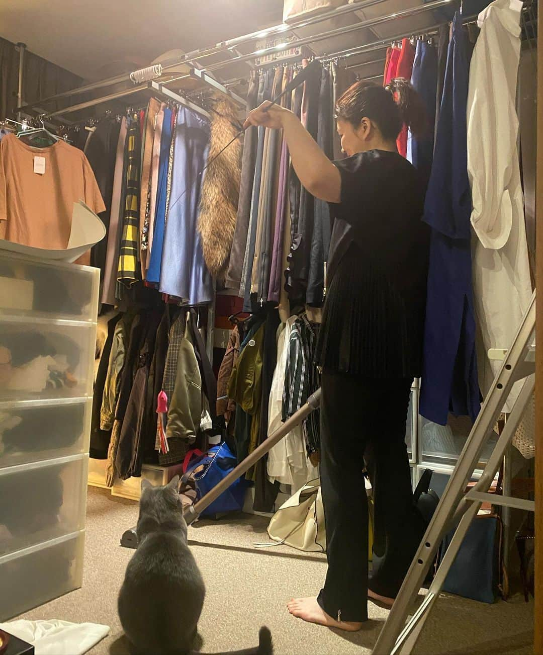 kawakami momokoさんのインスタグラム写真 - (kawakami momokoInstagram)「衣装部屋が片付かなくて 小鉄と遊んでしまった❗️ ハンガーたくさん注文して 全部かける収納に変えていく予定だよ。 この　@elendeek  のトップス、 お尻まで隠れてお気に入り。  ４枚目の服が。。。 違う写真だった‼️ 5月10日までオンラインで10%オフだよ❤️ トップス　#elendeek #エレンディーク ボトムス　@apstudio.jp #apstidio #エーピーストゥディオ」4月28日 0時36分 - momoko.kawakami.29