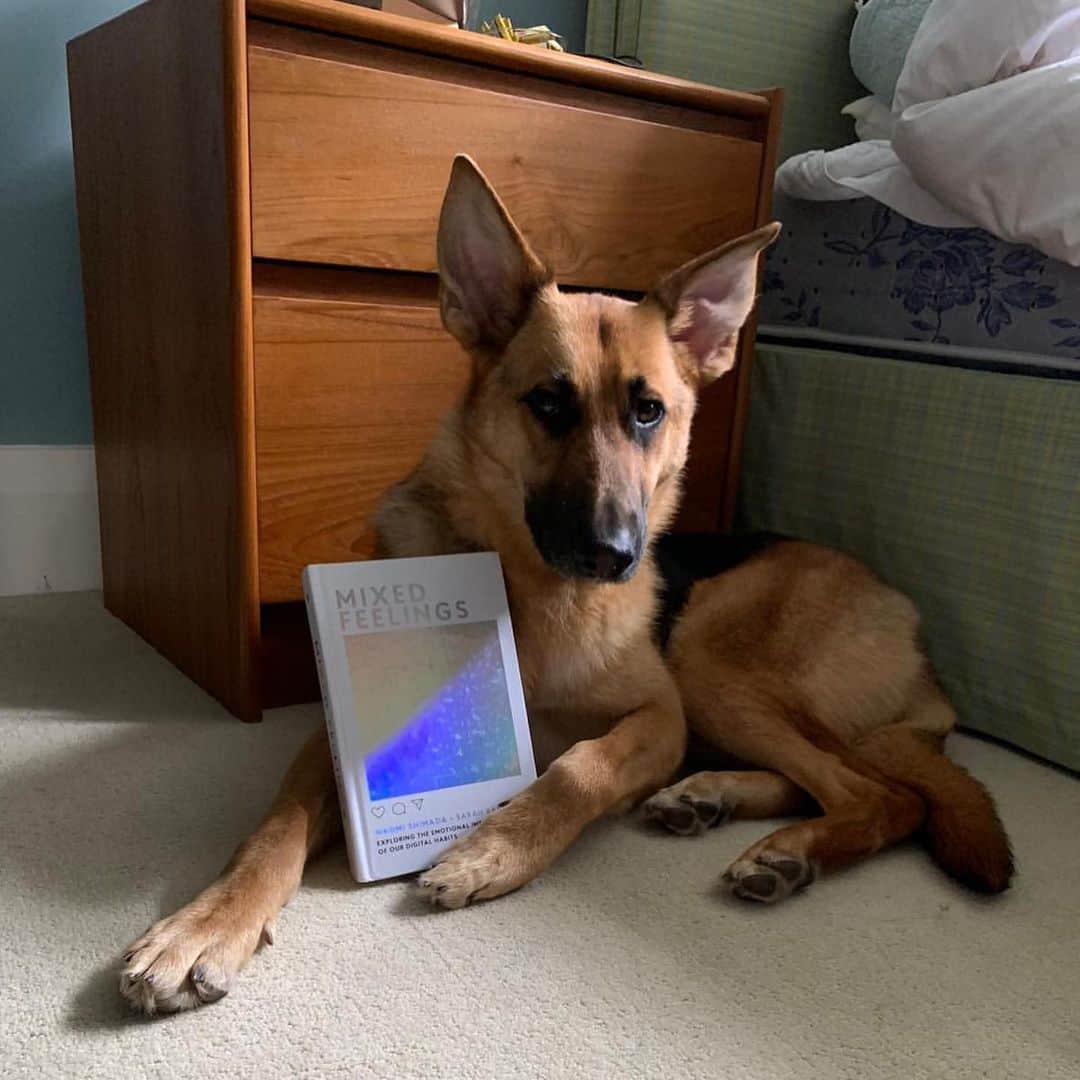 ナオミ・シマダのインスタグラム：「thanks to everyone (esp the very clever pups 😭!) who’ve been reading @mixedfeelingsbook during lockdown! it’s so wild how so many of the things we touched on have really come to light during this pandemic. the internet feels like a lot right now, these days I am feeling the deep need/yearning for quiet, (to think, to just be, to try to respect this moment in time, to save energy for the fight that awaits us etc!) and have been spending most days offline but it feels nice to poke my head in and say hi sometimes! it makes me so happy to know that our book is keeping some of you company during this time, hoping it feels like a cosy hug and a deep chat with a really good friend you miss that you can’t wait to see again ~💞」