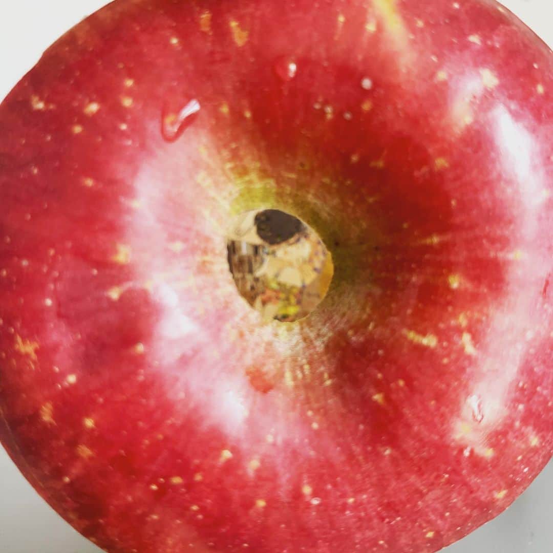 UNOさんのインスタグラム写真 - (UNOInstagram)「林檎の輪切り。らくだし、おいしーし、たのしーよ。」4月28日 4時16分 - unoboooo