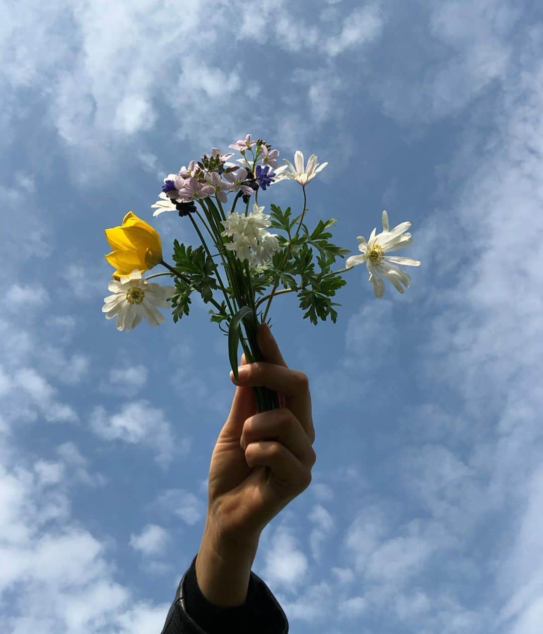 Mathilde Goehlerのインスタグラム：「Field flowers from today’s trip. Photo by @sophiegoehler」