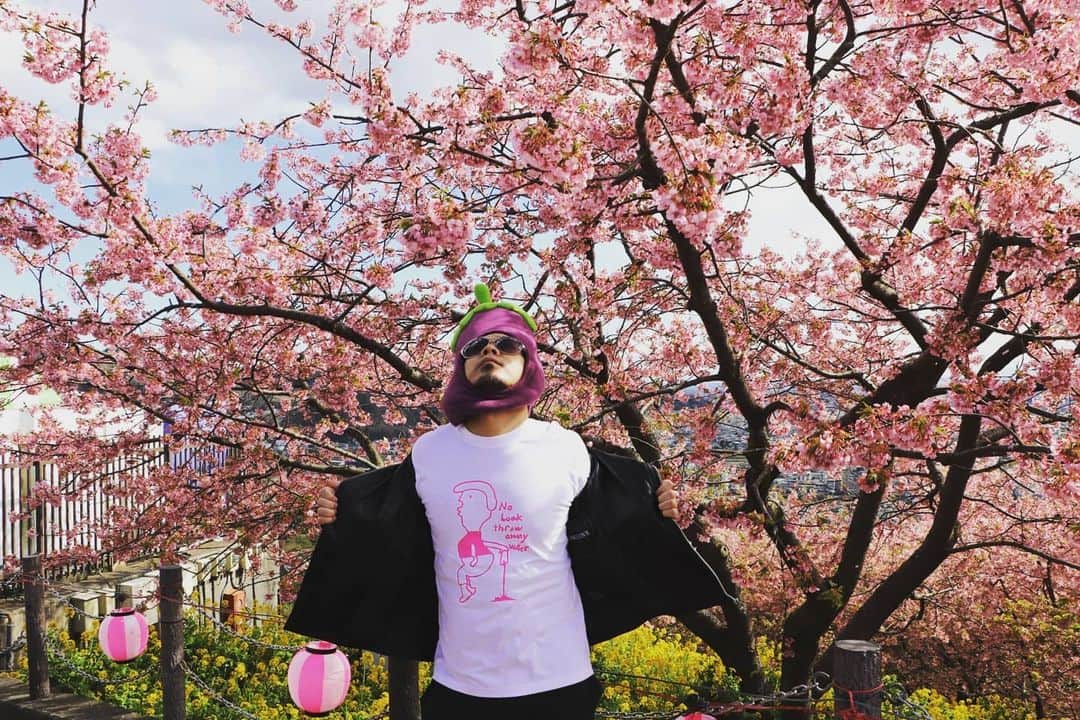 川原克己 さんのインスタグラム写真 - (川原克己 Instagram)「お手数ですが至急 乳首を見つけてください 宜しくお願い致します #お花見 #桜なすび」4月28日 14時49分 - tenjikunezumikawahara