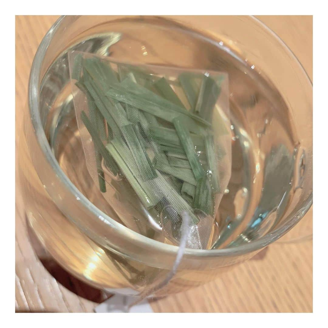 黒木晴香さんのインスタグラム写真 - (黒木晴香Instagram)「お仕事前の一杯 ——————————— #tea #lemongrass #束の間の #teatime #goodintea #hashreco #ホットティー  #グッドインティー #ティータイム」4月28日 15時36分 - k.uro____