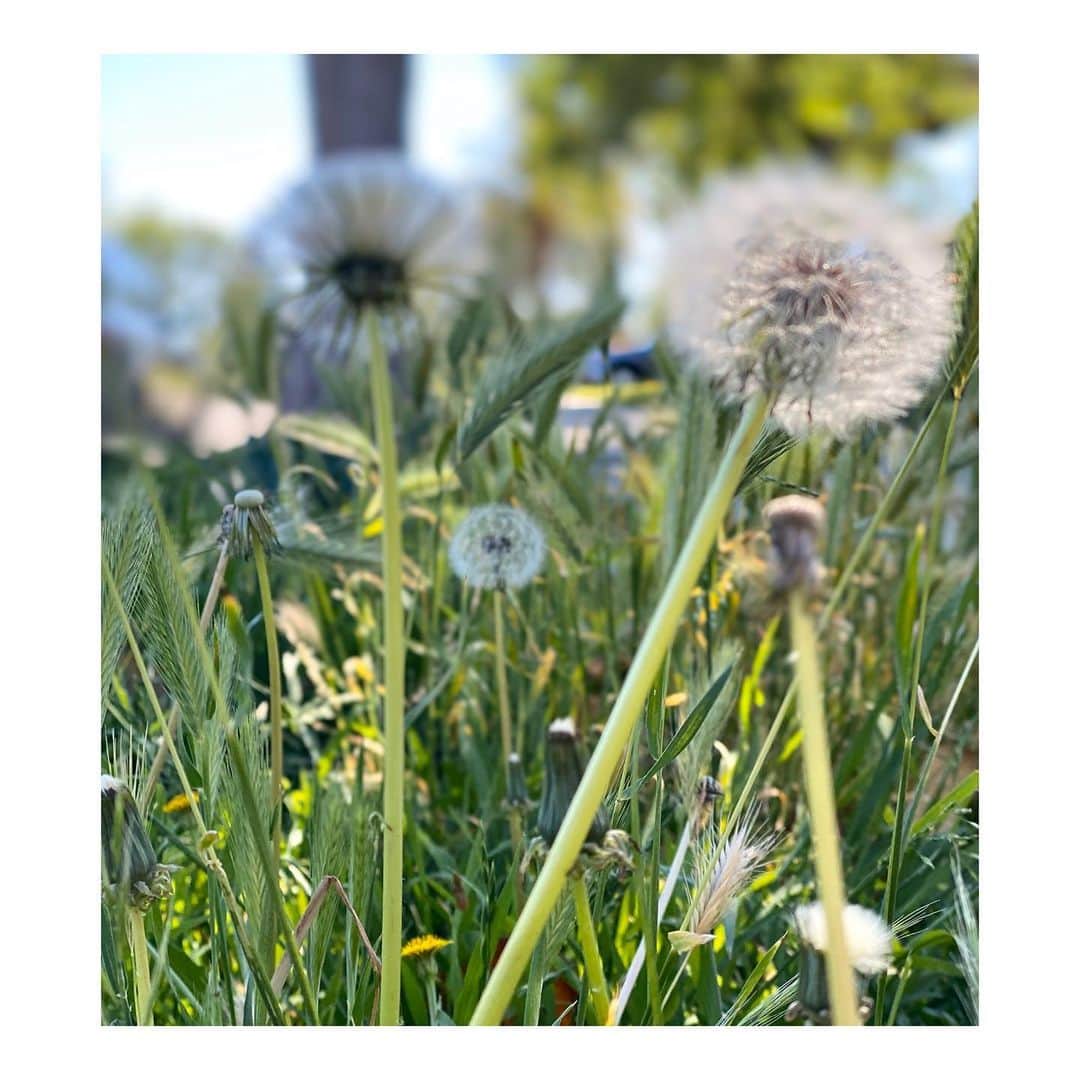 シャンテル・ヴァンサンテンさんのインスタグラム写真 - (シャンテル・ヴァンサンテンInstagram)「“Make a wish and place it in your heart. Anything you want, everything you want. You never know where the next miracles going to come from, the next memory, the next smile, the next wish come true. But if you believe that it’s right around the corner, you open your heart and mind the possibility of it, to the certainty of it, you just might get the thing you’re wishing for. The world is full of magic. You just have to believe in it. So make your wish. Do you have it? Good. Now believe it with all your heart.” #whatwouldyouwishfor #RIGHTnow」4月28日 7時41分 - therealshantel