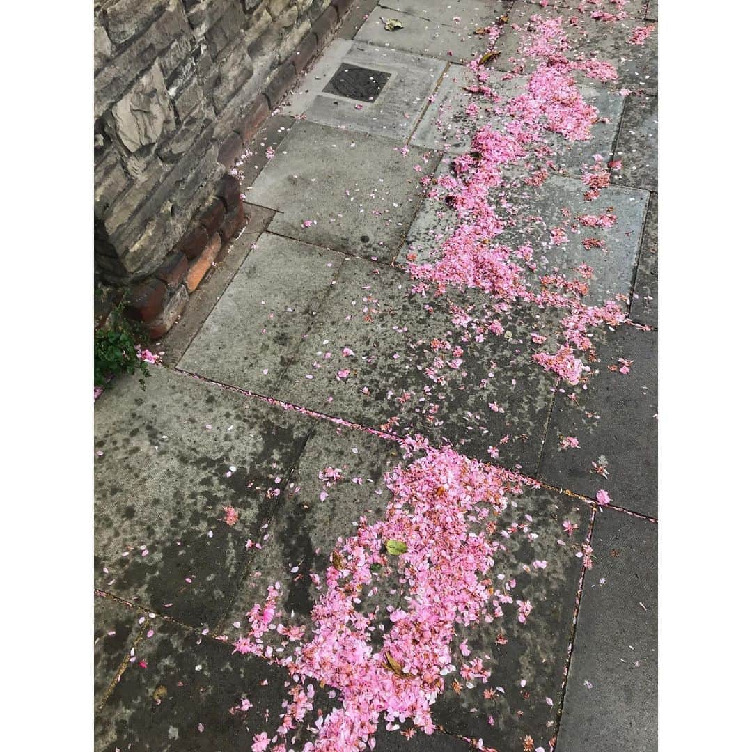 のインスタグラム：「直せない物 戻らない事」