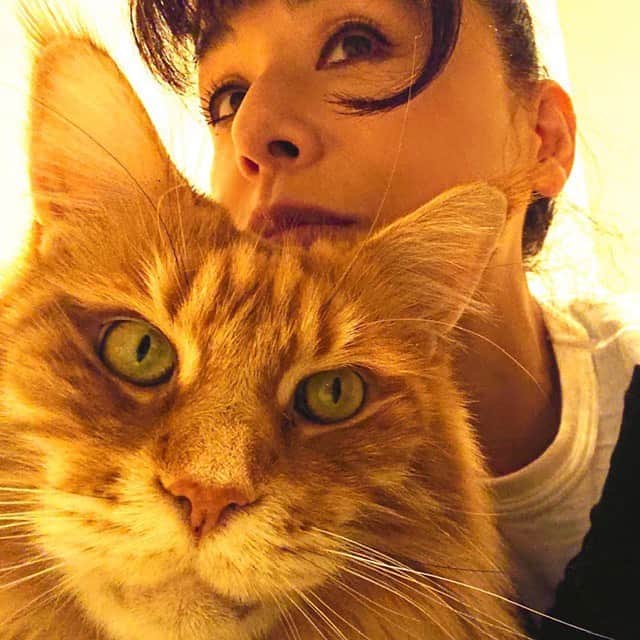 大地真央さんのインスタグラム写真 - (大地真央Instagram)「ボク、ルジールだけど-おひさしぶり✊ このまえテラスでしょくじしたあと ママがボクにあまえてきたんだよね-いいんだけど~ ボクはダンディー😼でとおしてるから ベタベタしないんだよねー ママはいちばんおおきくてカッコいい〜💗 っていうんだけどさ〜😻ニャニャニャ😽  #ルジール😼♂ #7歳8ヶ月 #ダンディー ✨ #mainecoon #癒し #家に居よう#自粛#自粛の過ごし方 #有意義な時間 #大地真央 撮影📱 #MAODAICHI」4月28日 12時44分 - daichimao_official