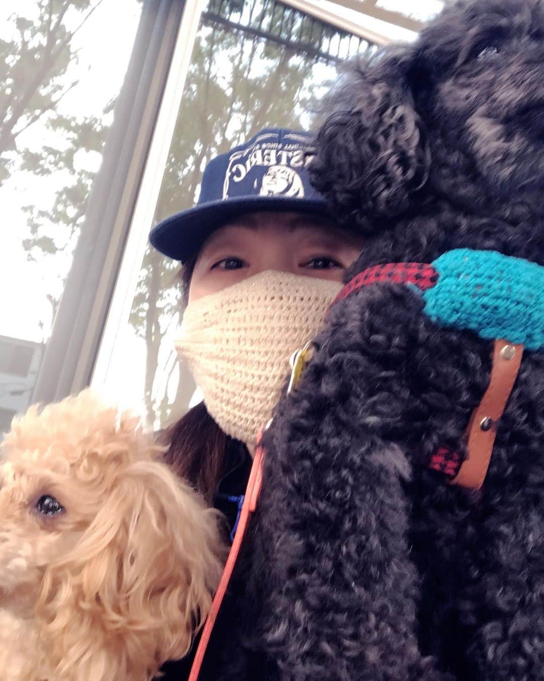 井上貴子のインスタグラム：「はりきってお散歩に出たら  大粒の雨にふられ…  閉店中の オープンカフェのイスを借りて 雨宿り中…  トホホ。  Happyで^ ^  #井上貴子  #LLPWX #女子プロレス #紅緒と柊音 #トイプードル部 #雨宿り #せっかくのお散歩なのに #17ライブ配信本日28日20時 #イチナナ #おうちですごそう #STOPCOVID19 #stayhome」