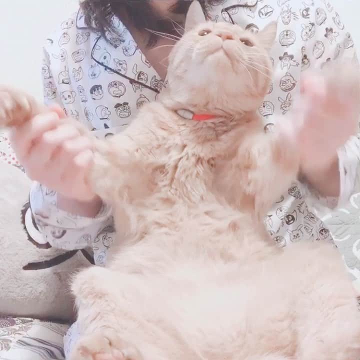 森永理科のインスタグラム
